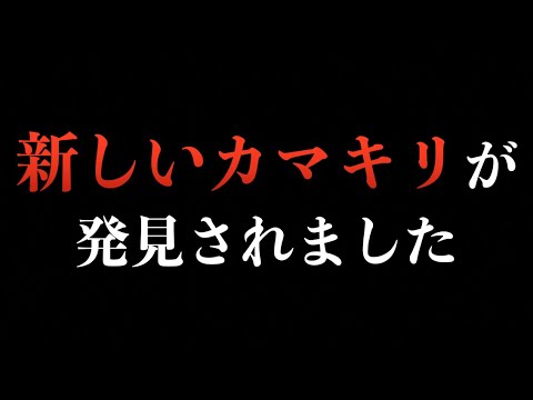 マジです 沖縄で新亜種のカマキリが発見されていました Youtube マジです 沖縄で新亜種のカマキリが発見されていました Youtube