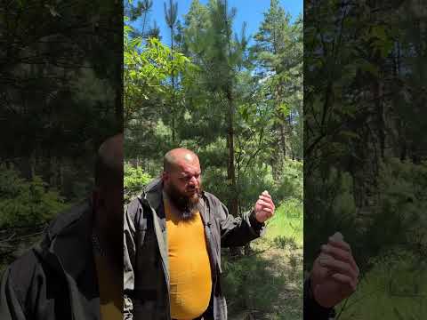 Как безопасно ходить в туалет на природе