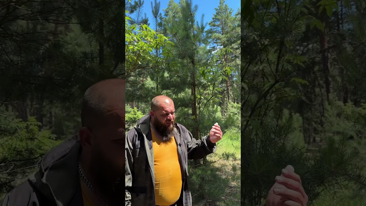 Как безопасно ходить в туалет на природе
