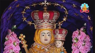 🔴 Live 14 February 2026 @ Vailankanni Shrine Basilica