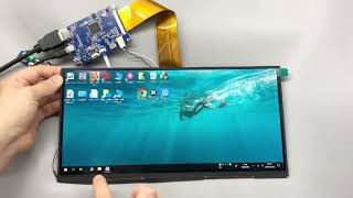 11.7'' Display Module – High-Resolution Screen for Custom Integration"#screen #display #monitor