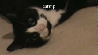 itself into exploding is existence