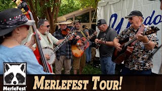 Merlefest 2023 – What Happens When You Attend?