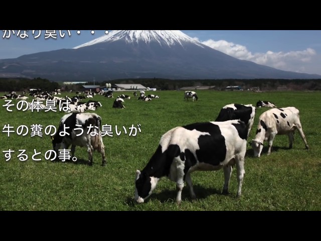 世界最悪の悪臭トップ10