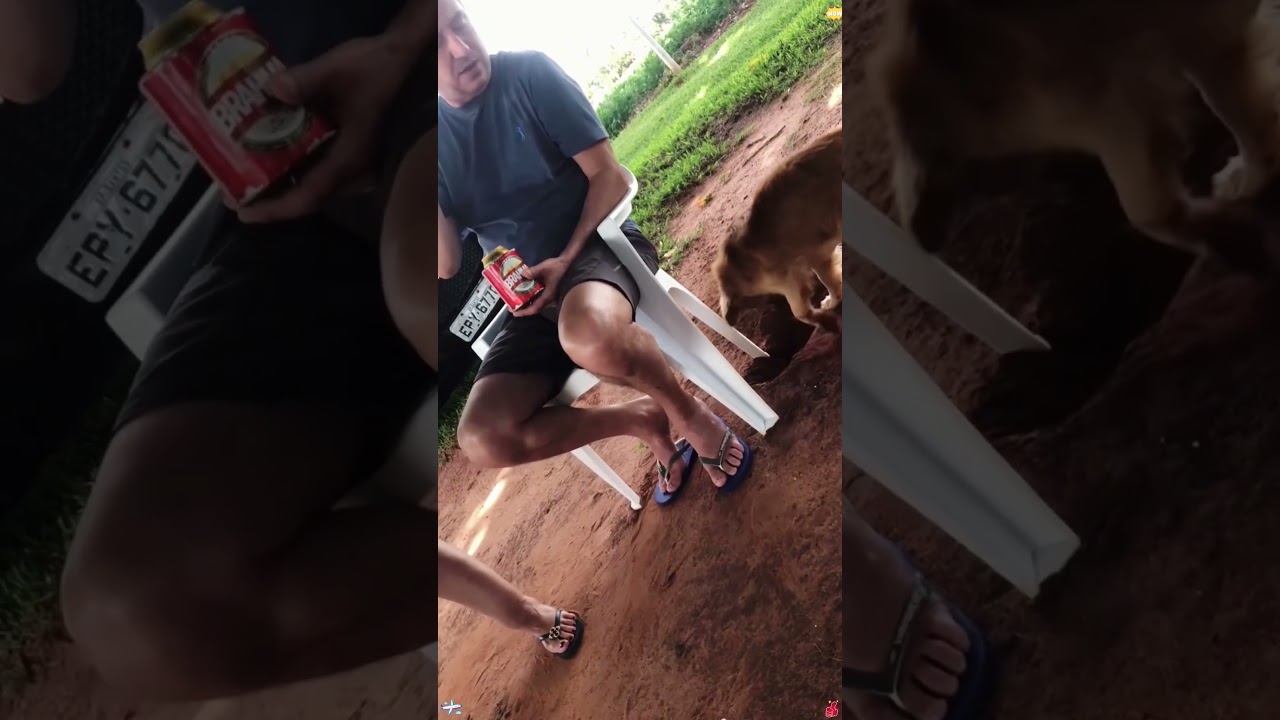 Ded teasing its ownerifunny wiys Wunnydog 