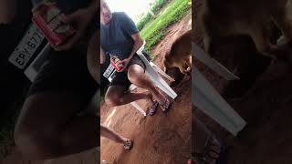 Download Lagu Ded teasing its ownerifunny wiys Wunnydog #tunnyvideosAnkoglover woryoupage MP3