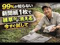 「新聞紙1枚で雑草を長期間防ぐ！ホームセンターが教えたくない事実」 | 雑草対策