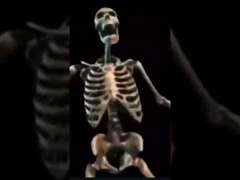 Skeleton Banging Shield Funny Memes Skeleton Scream Meme Shorts Skyrim Brainrot Funnyvideos 