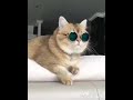 ISHARE TERA status video song || comedy video || whatsapp status video || Guru Randhawa Whatsapp Status Video Download Free