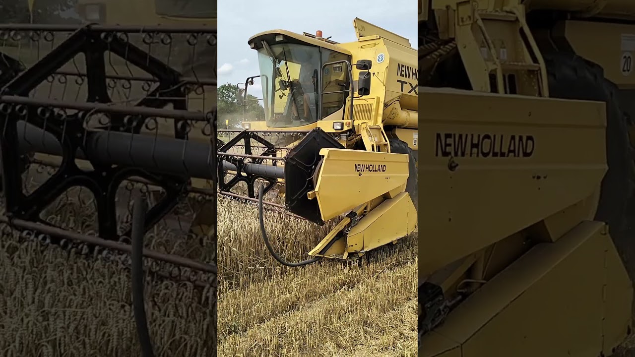 new holland tx 66 żniwa 2024