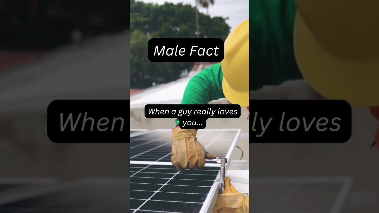 Male Fact 