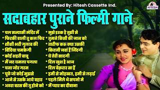 सदाबहार पुराने फिल्मी गाने | Hindi Filmi Gaane | All Time Hit Songs | हिंदी फ़िल्मी नगमें | Old Songs