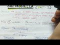 Salmonella ( Part 1 ) | Microbiology | Handwritten notes