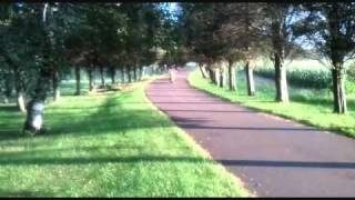 schroeder.wmv