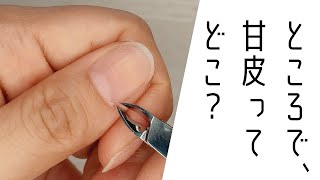 甘皮ケアのやり方を詳しく解説♪キューティクルニッパーなど使い方＆愛用品をご紹介！