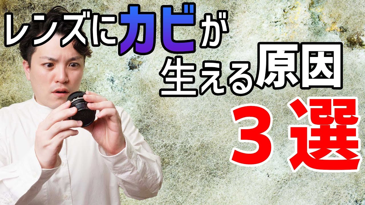 ジャンク品レンズを購入した結果・・・【中古レンズ。カビあり】 - YouTube