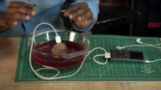iScience EnergyDrink Experiment
