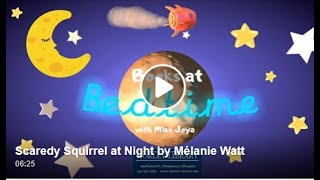 Scaredy Squirrel At Night