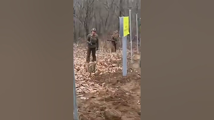 Солдаты Южной и Северной Кореи найдите отличие.