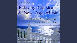 Song from a Secret Garden screenshot 4