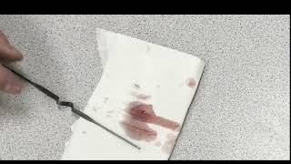 Transmission Fluid Contamination Check by Mr. Jay Hales Automotive Lab Demonstrations 97 views 13 days ago 2 minutes, 40 seconds