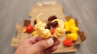 Amazing Superhots From The Pepper Wolverine