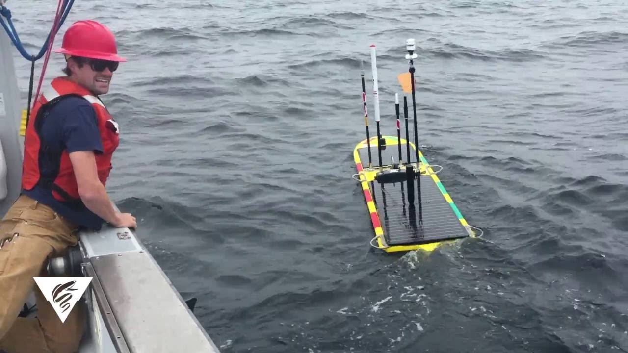 Wave Glider deployment