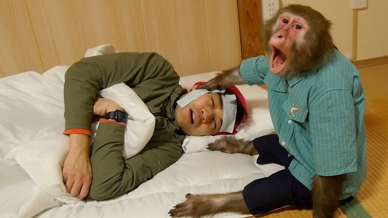 【発熱】お猿さんに看病をお願いしたら人間よりも役に立ってすごかった。