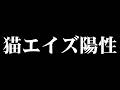応援してくださっている皆様へ大切なお知らせ