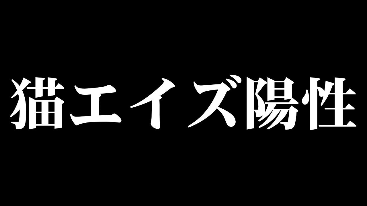 応援してくださっている皆様へ大切なお知らせ