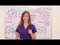 REPLICACIÓN DEL VIH 🦠 4 MINUTOS👀 - ciclo del virus de la inmunodeficiencia humana‼️ ¿Cómo invade?