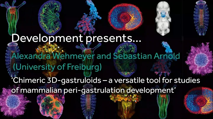 Development presents... Alexandra Wehmeyer and Seb...