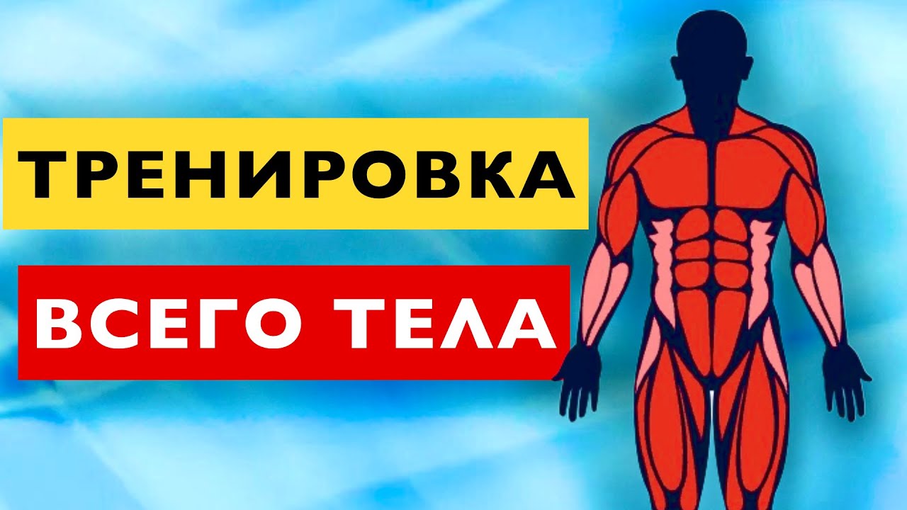 �������� ��������� ��������: ����.