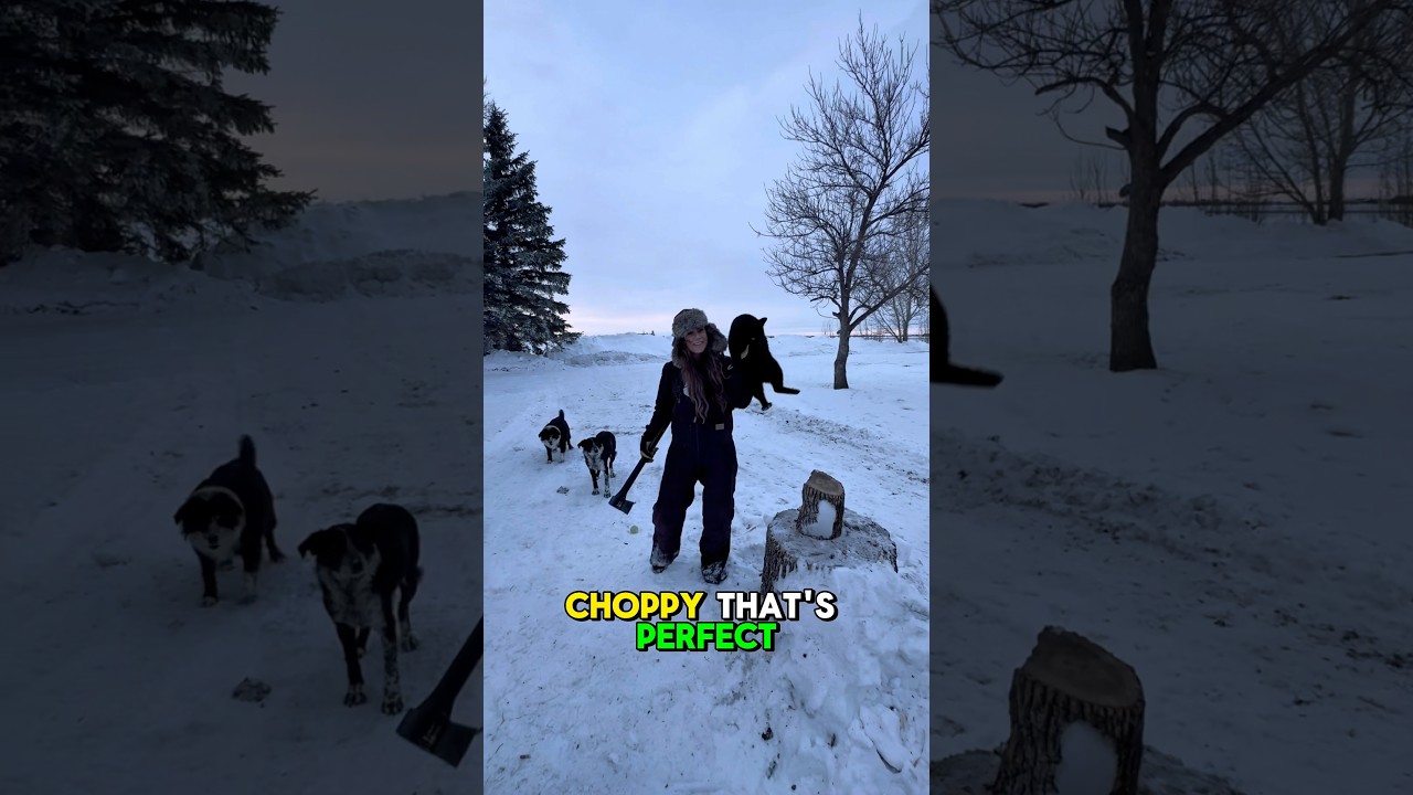 Ну, это могло бы обернуться плохо 🤦‍♀️ 