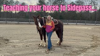 Teaching Your Horse To Sidepass!!!
