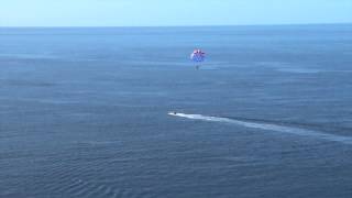 FLY M 4246