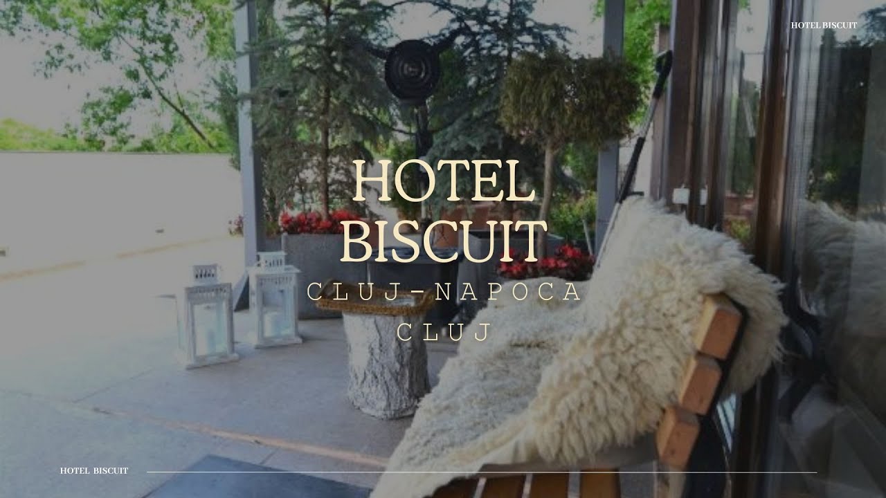 HOTEL BISCUIT CLUJ NAPOCA CLUJ, OFERTE CAZARE HOTEL BISCUIT CLUJ NAPOCA CLUJ, PROMOTII CAZARE
