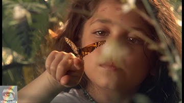 Michael Jackson - Earth Song Vignette (This Is It) [REMASTERED] | Perfect Video