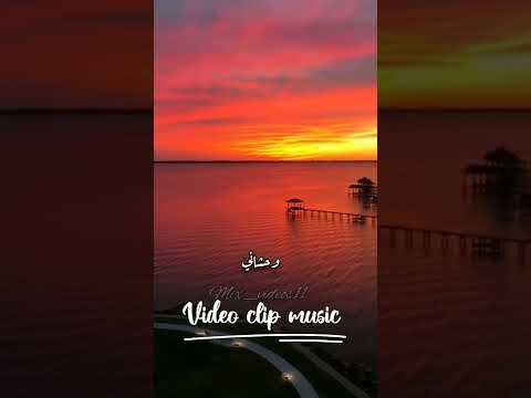 وحشاني دنيتة وحشاني