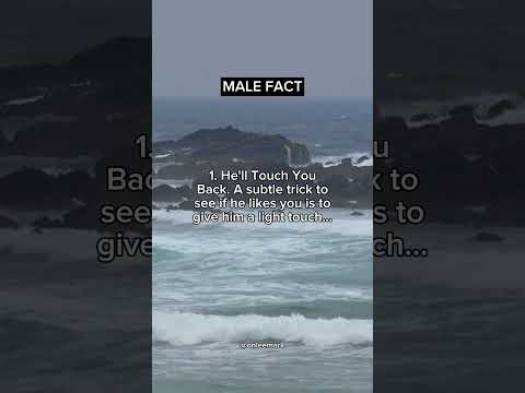 6 SECRET Body