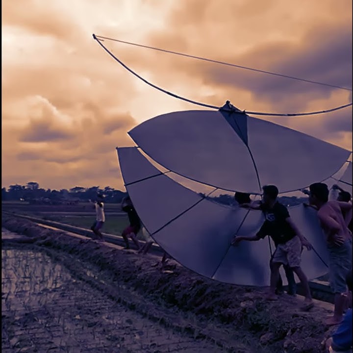 Story wa layangan gapangan