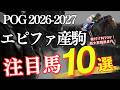 【POG2026-2027】種付け料No.1の1800万世代!「エピファネイア産駒!注目馬10選」【競馬】