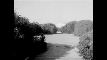 ARTBYCHANCE09 Selection \ Mattias Cantzler \ 100kmh 100 photos