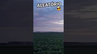 😎