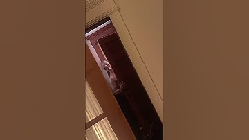 Can you see it too? #horror #horrorstories #ghost #scary #spooky #creepy #spooky #jumpscare #demon