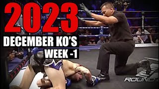 MMA \& Boxing Knockouts I December 2023 Week 1