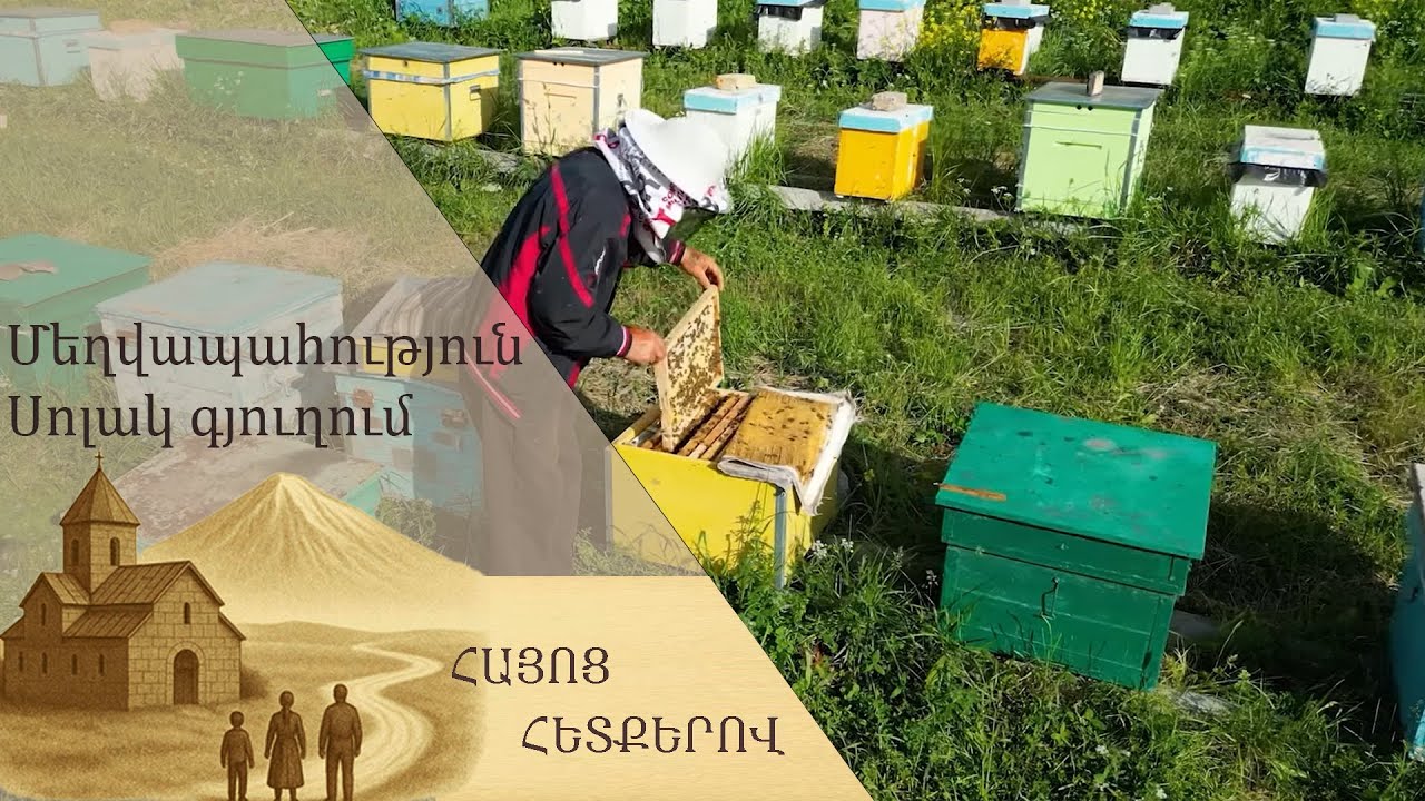 Մեղվապահությունը Կոտայքի մարզի Սոլակ գյուղում