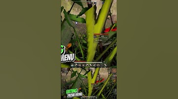 Aska - How to, tips and tricks, Eating from menu  #howto #tipsandtricks #aska