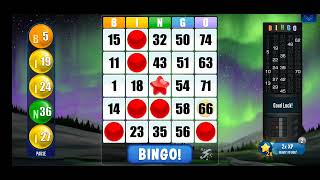 Absolute Bingo Game 1 screenshot 5