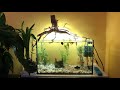 TOP Aquarium Decoration Ideas // Fish tank decoration diy 2021